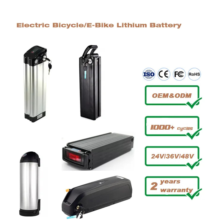 Electric Bike Lithium.jpg