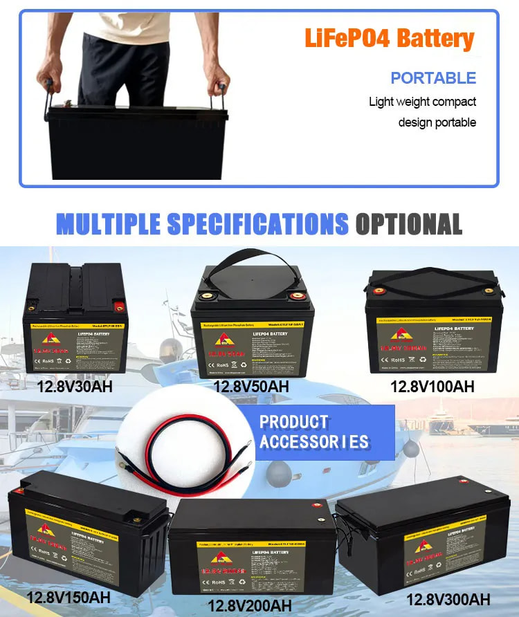 LiFePO4 Battery.jpg
